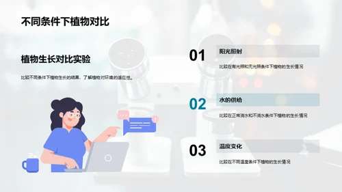 实验探索：科学的奇妙之旅