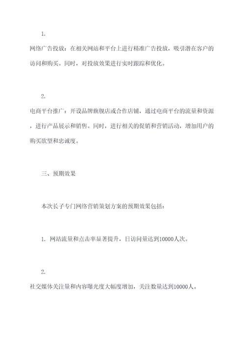 长子专门网络营销策划方案