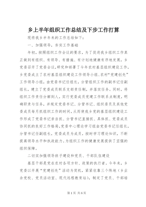 乡上半年组织工作总结及下步工作打算.docx