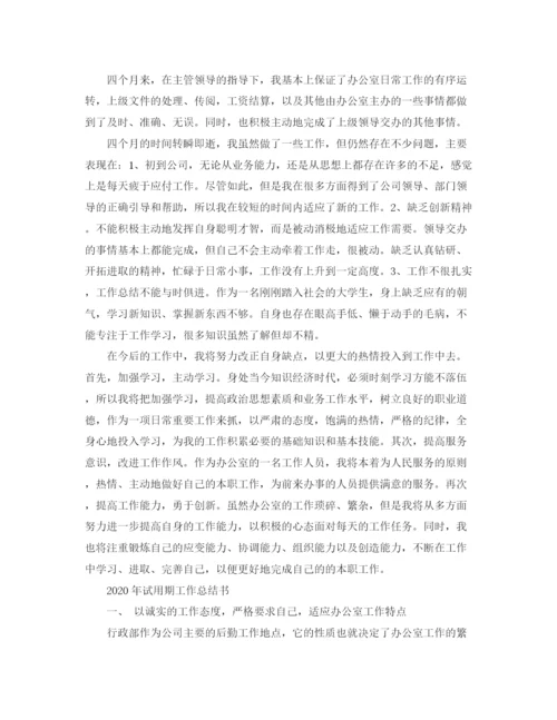 精编之年试用期工作总结范文.docx