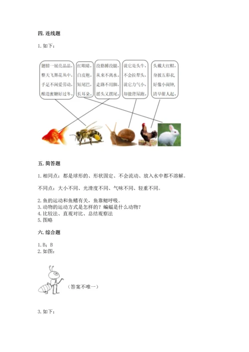 教科版一年级下册科学期末测试卷精品【黄金题型】.docx