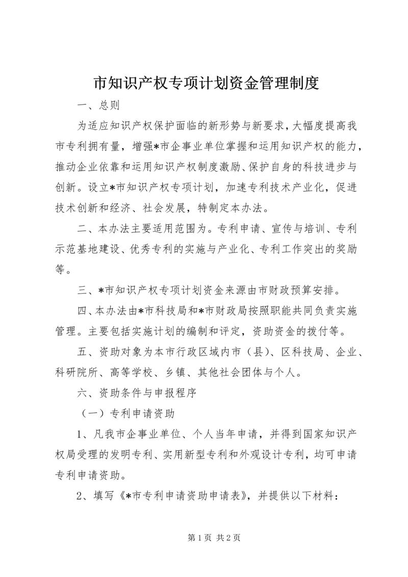 市知识产权专项计划资金管理制度.docx