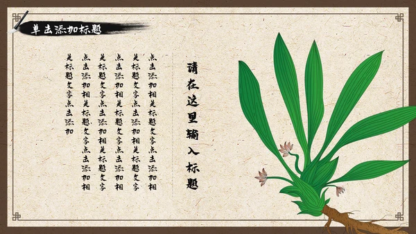 中国风古香古色中药中医文化中医养生ppt模板