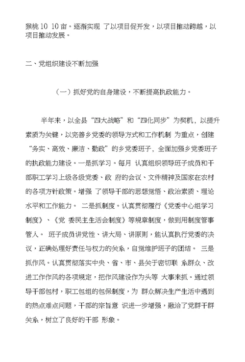 乡政府XX年半年工作总结及下半年工作打算