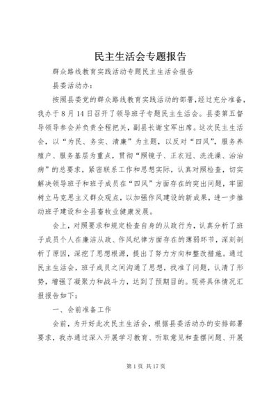 民主生活会专题报告 (3).docx