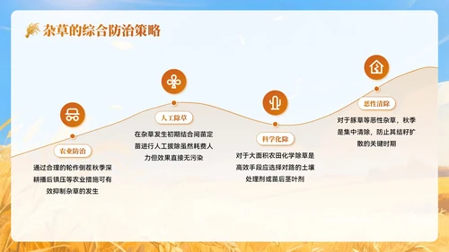 黄色插画风秋分农事农业培训PPT模板