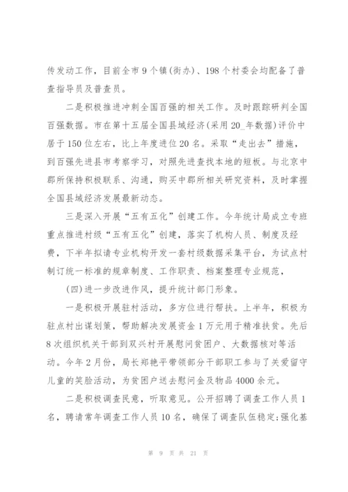 统计局年度考核个人总结5篇.docx
