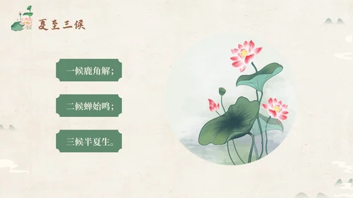 绿色淡雅中国风荷花荷叶中国二十四节气之夏至节气介绍PPT