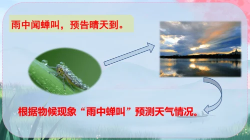 5《大自然的语言》课件