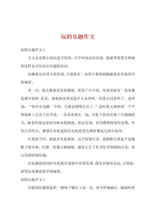 玩的乐趣作文