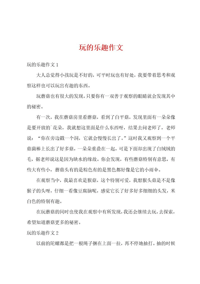 玩的乐趣作文