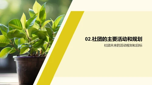 环保行动我们在行动