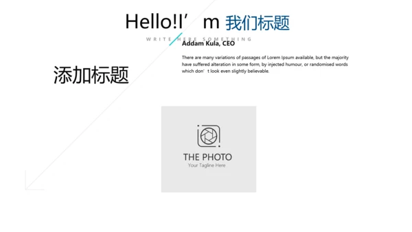 蓝色简约书记工作述职报告商务风通用PPT动态模板