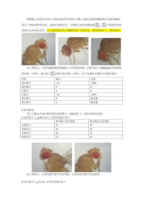 转基因果蝇实验—崔丽嘉.docx