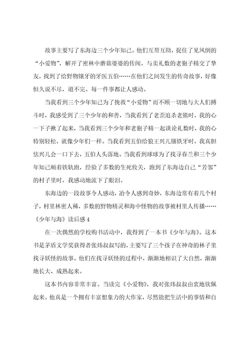 《少年与海》读后感
