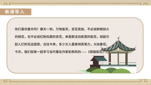 黄色中国风中式语文初一下册驿路梨花教学课件PPT模板