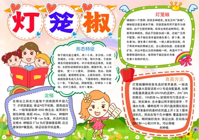 灯笼椒成长日记小报植物生长手抄报电子小报