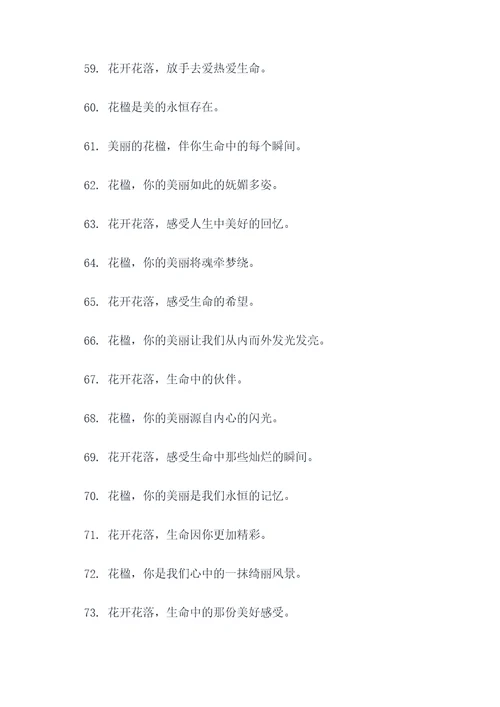花楹的口号