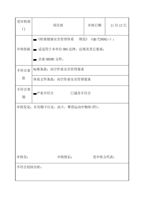 不符合项报告样稿