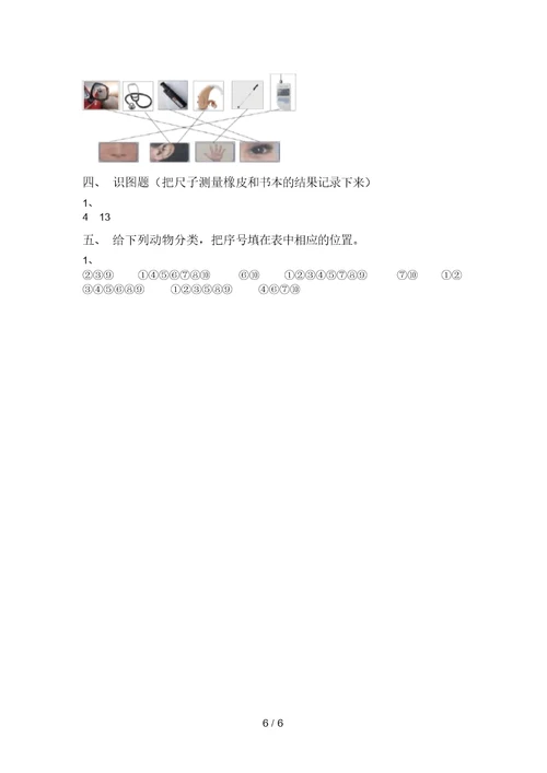 2021年苏教版一年级科学上册期中试卷(A4版)