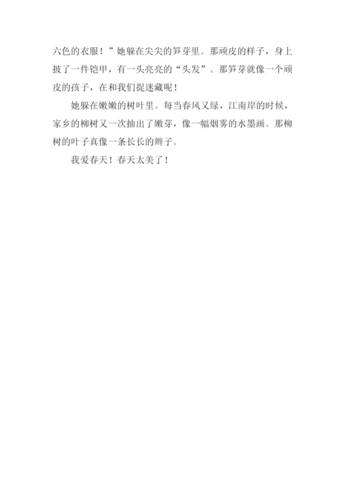 关于春天的作文300字.docx
