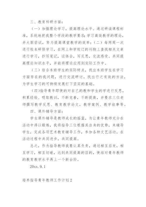 培养指导青年教师工作计划.docx