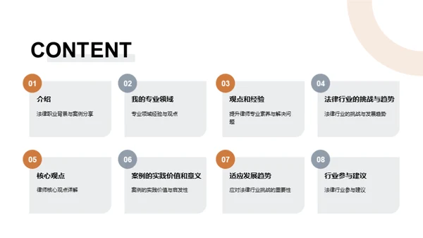 法律行业专业演讲：法律实务分享