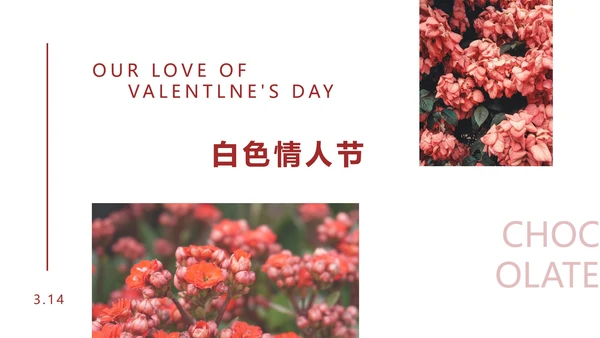 粉色优雅花卉白色情人节PPT模板