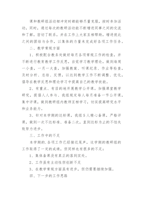 史地教研组工作总结.docx