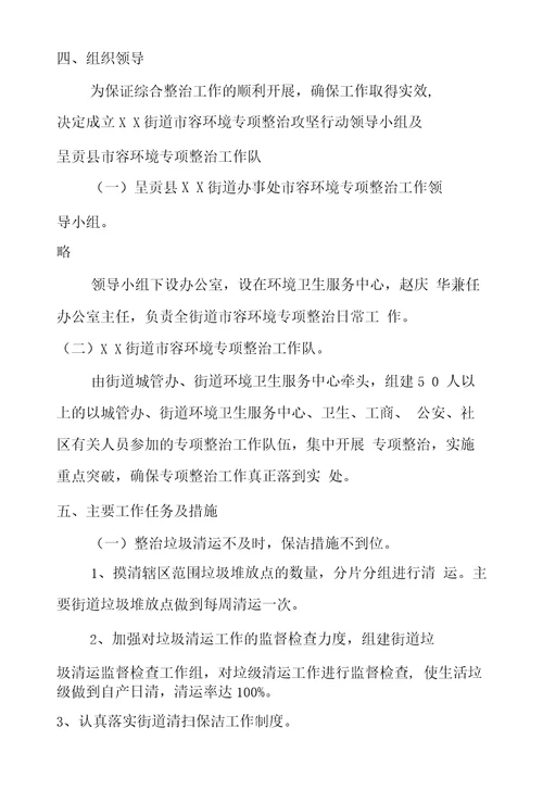 市容环境专项整治工作实施方案