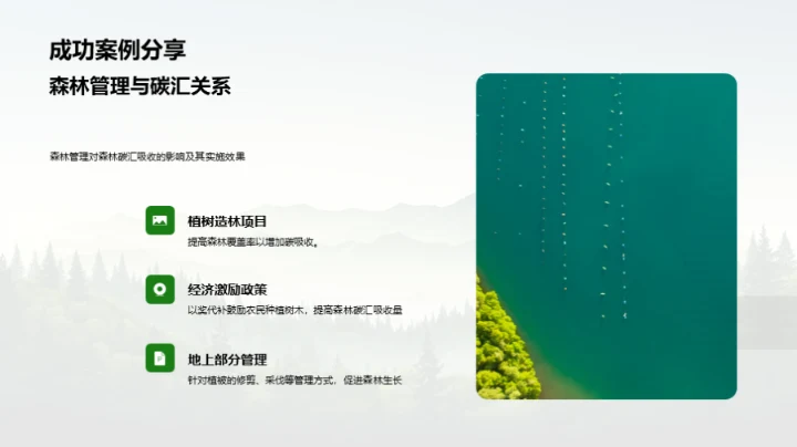 森林碳汇与气候变迁