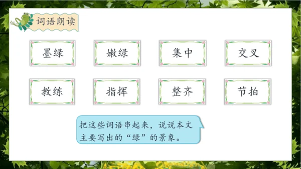 【核心素养】部编版语文四年级下册-10.绿 第2课时（课件）