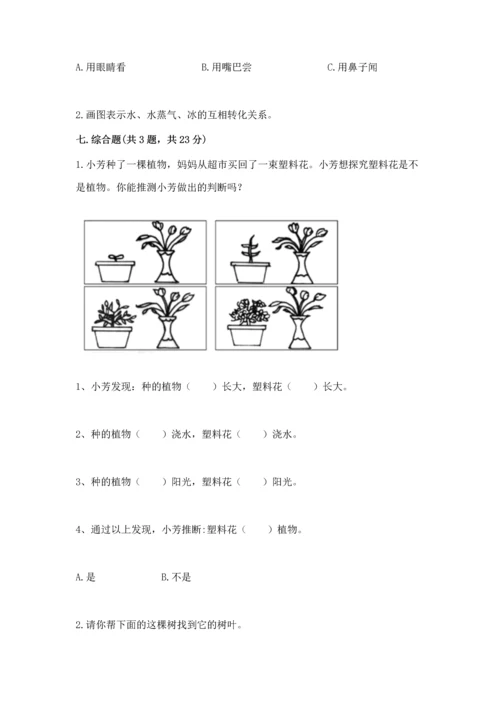 教科版科学一年级上册第一单元《植物》测试卷【基础题】.docx