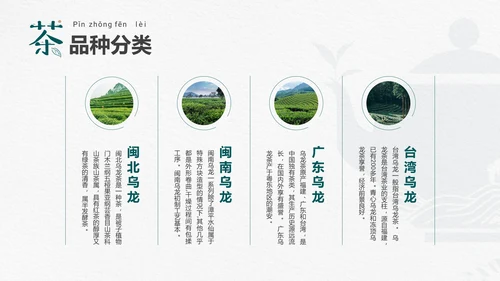 品茶论道茶艺茶道文化PPT模板