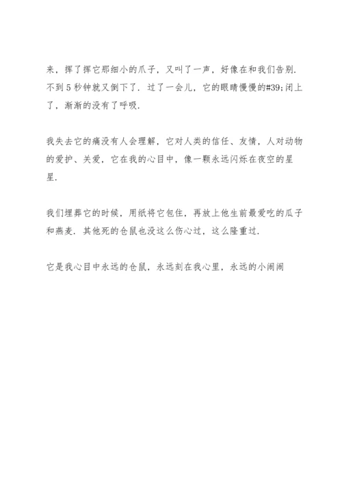 养仓鼠的经历与心得500字.docx