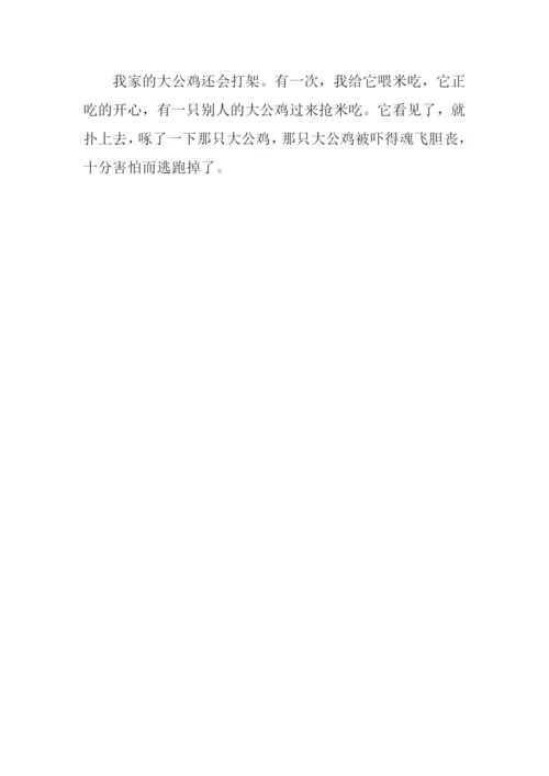 四年级动物作文大全300字.docx
