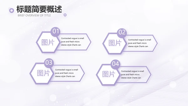 紫色梦幻医美商业计划书动态PPT
