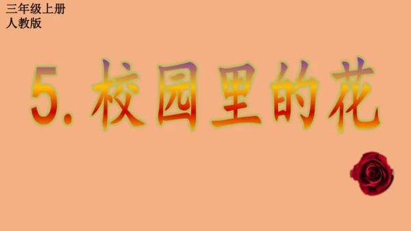 校园里的花（课件33页）-美术三年级上册人教版