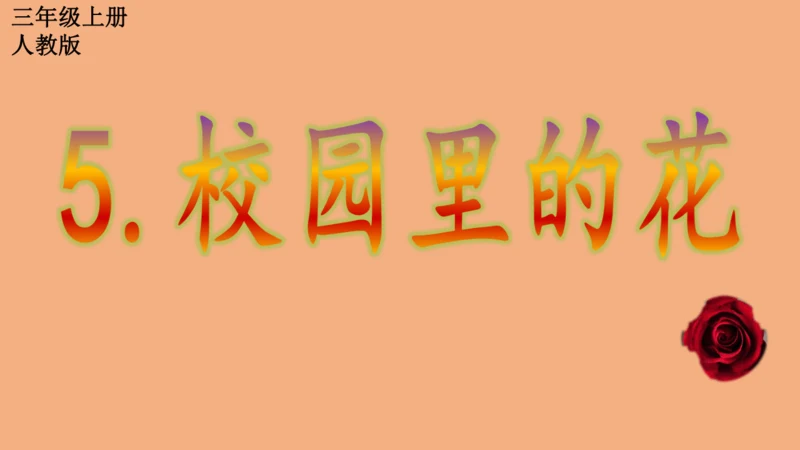 校园里的花（课件33页）-美术三年级上册人教版