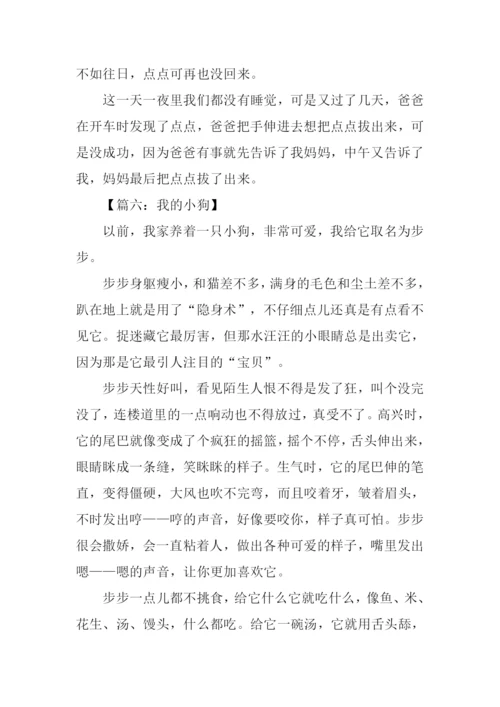 我的小狗作文600字.docx