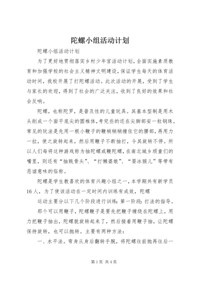 陀螺小组活动计划.docx