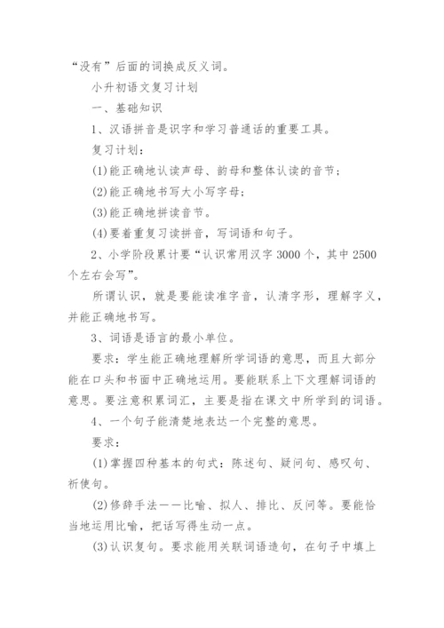 小升初语文必背知识点归纳整理大全人教版.docx