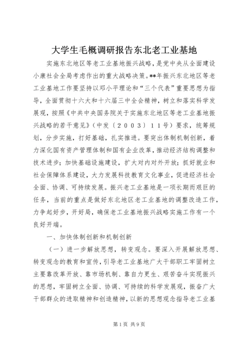 大学生毛概调研报告东北老工业基地 (5).docx