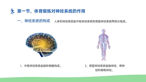 蓝绿插画卡通风体育与健康知识说课PPT模板