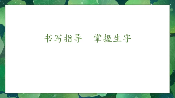 【核心素养】部编版语文一年级下册-12. 荷叶圆圆 第1课时（课件）