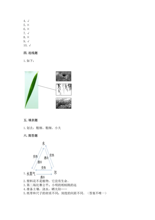 教科版一年级上册科学期末测试卷【历年真题】.docx