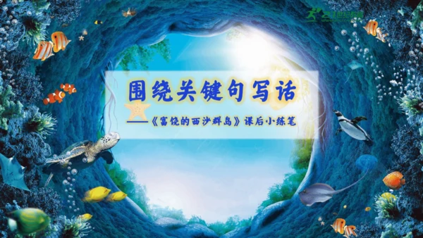18.富饶的西沙群岛  课件