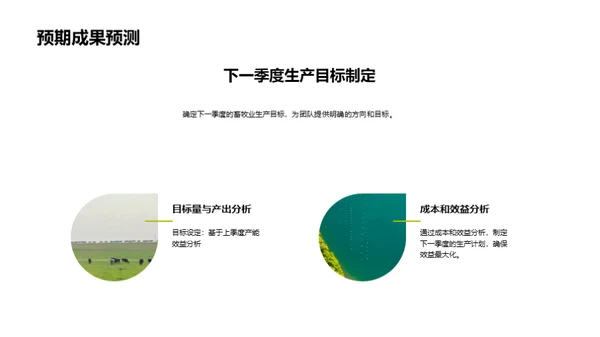 畜牧业季度绩效回顾