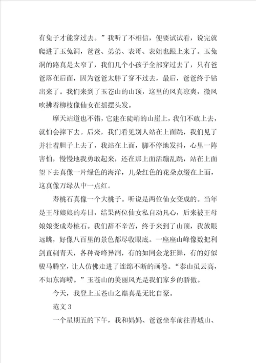 山的作文大全