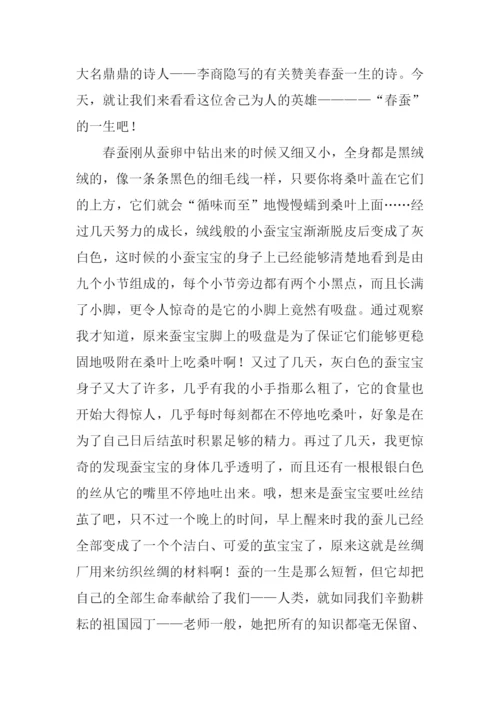 三年级春蚕作文.docx